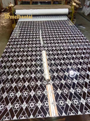 صفحه تزئینی آسانسور از فولاد ضد زنگ 304