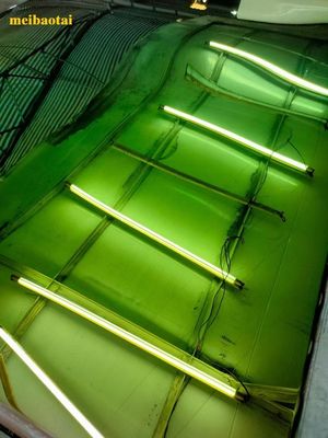 قیمت خوب صفحه رنگ آینه سبز Pvd پوشش تزئینات صفحه فولاد ضد زنگ آنلاین